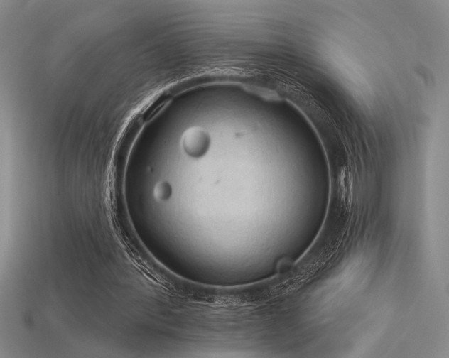 X0000115790388200911131312