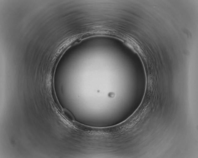 X0000115790389200911131312