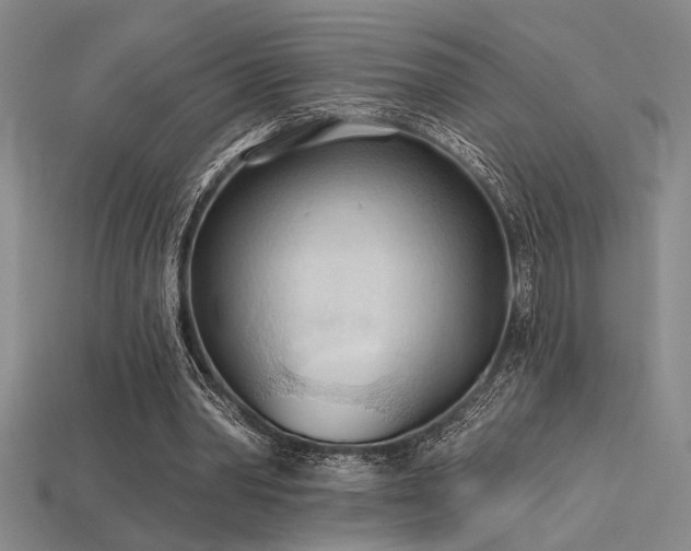 X0000115790390200911131312