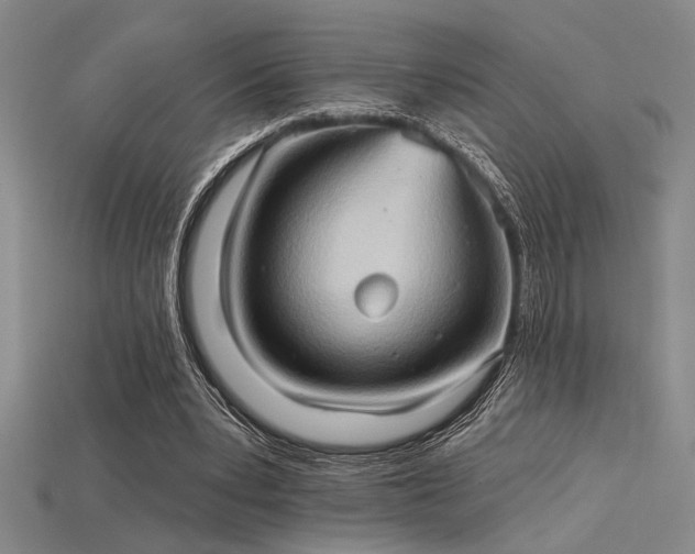 X0000115790391200911131312