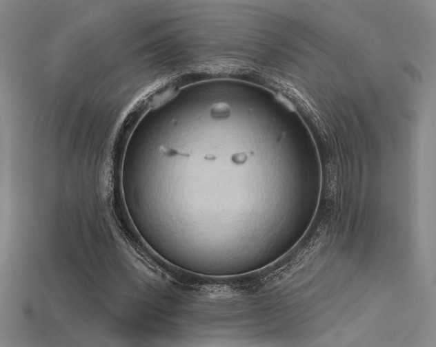 X0000115790392200911131312