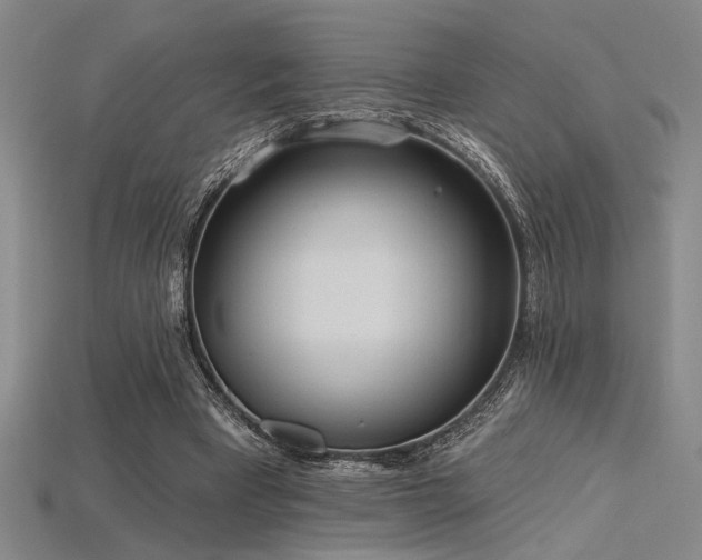 X0000115790393200911131312