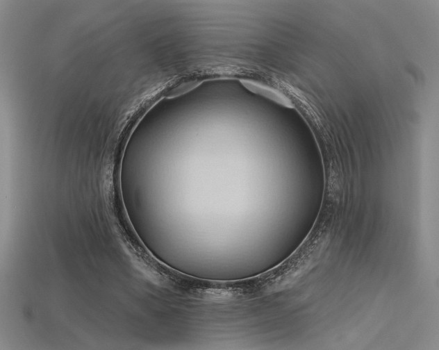 X0000115790394200911131312