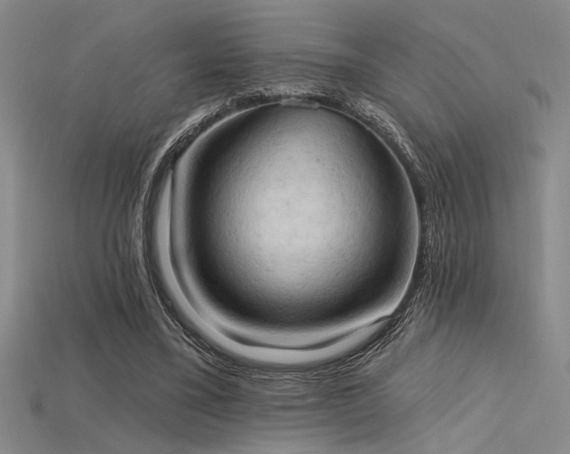 X0000115790395200911131312