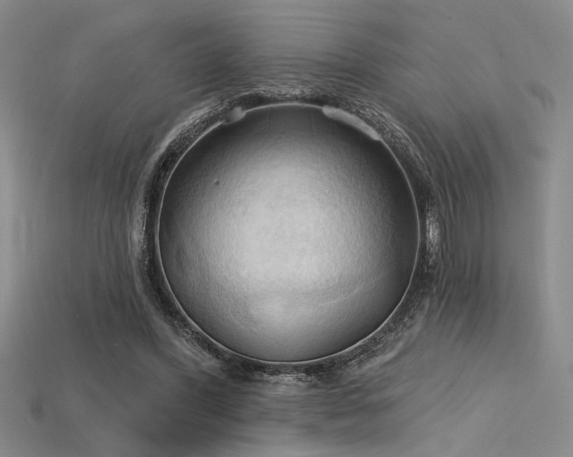 X0000115790396200911131312