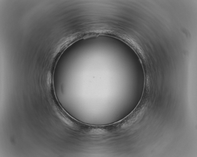 X0000115790397200911131312