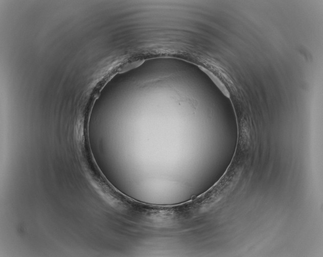 X0000115790398200911131312