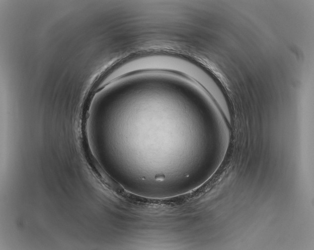 X0000115790399200911131312