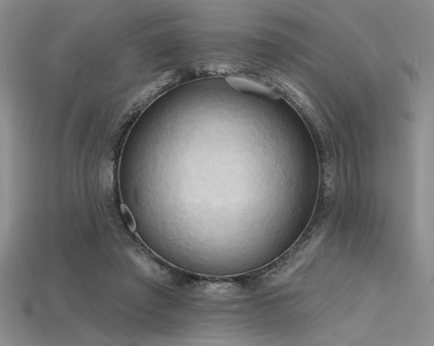 X0000115790401200911131312