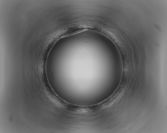 X0000115790402200911131312