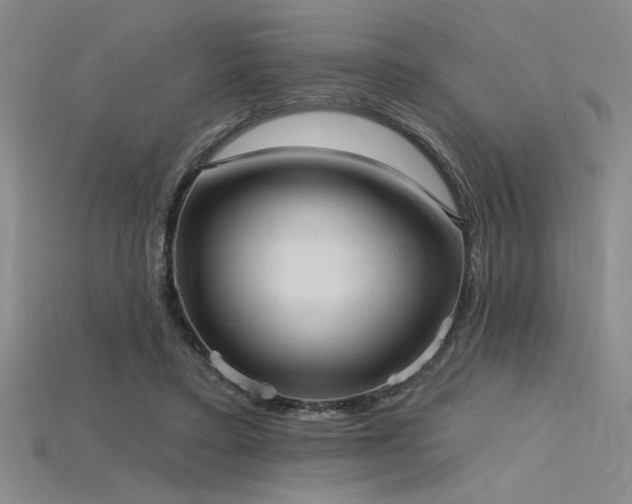 X0000115790403200911131312