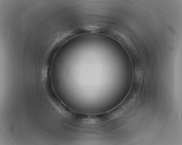 X0000115790404200911131312