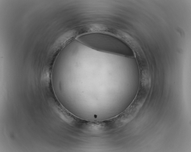 X0000115790405200911131312