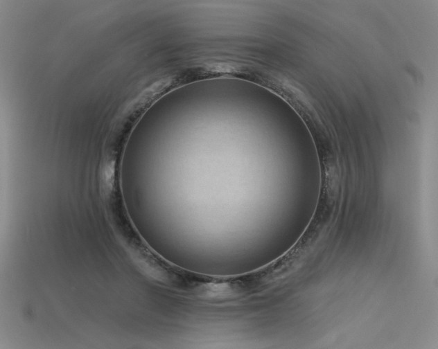 X0000115790406200911131312