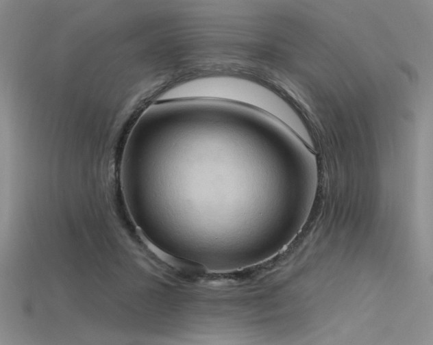 X0000115790407200911131312