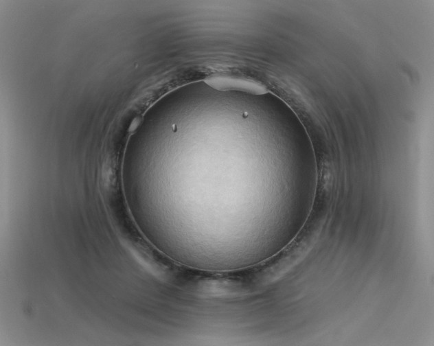 X0000115790408200911131312