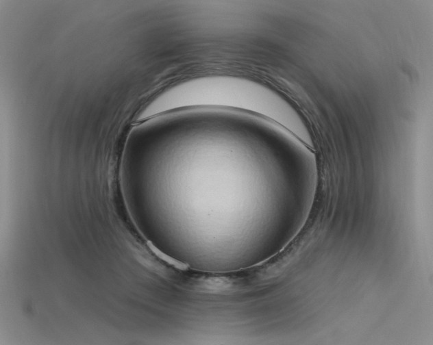 X0000115790409200911131312