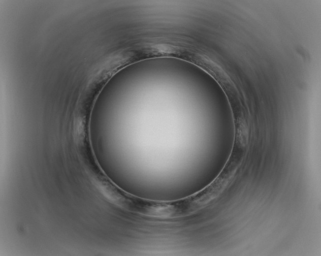 X0000115790410200911131312