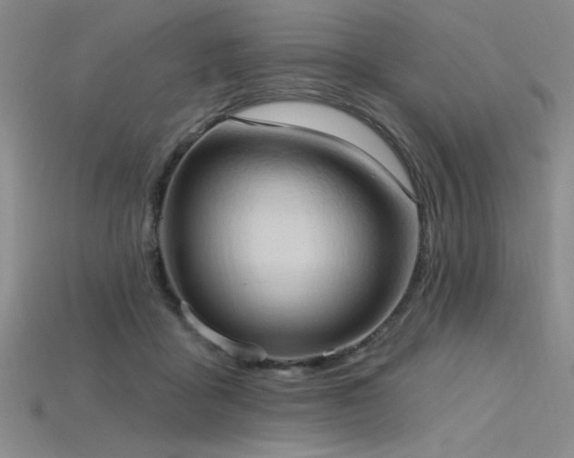 X0000115790411200911131312