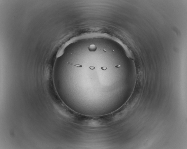 X0000115790412200911131312