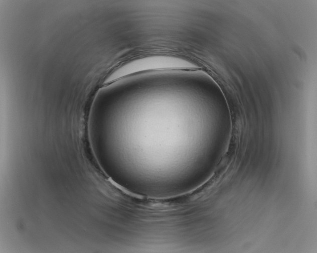 X0000115790413200911131312