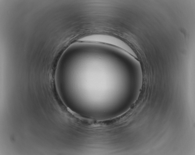 X0000115790415200911131312