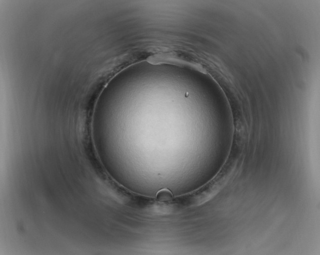 X0000115790416200911131312