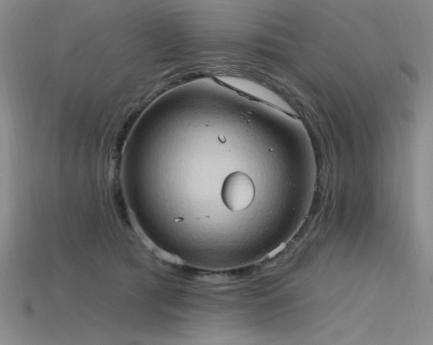 X0000115790417200911131312