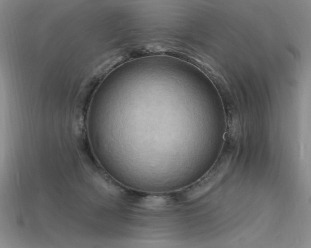 X0000115790418200911131312