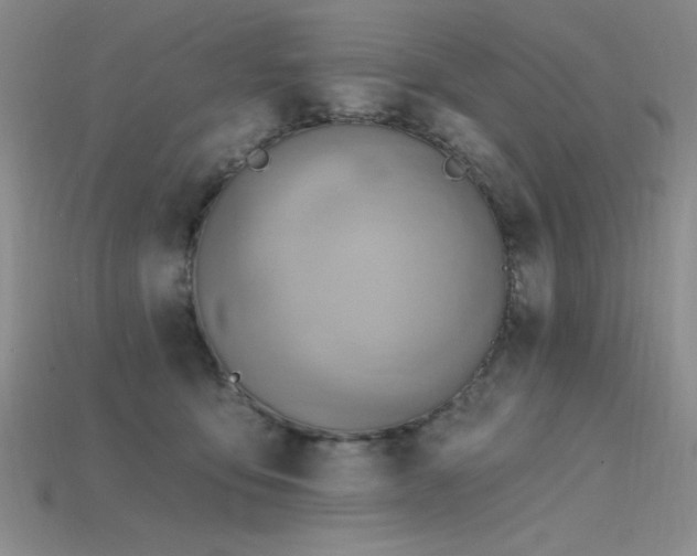 X0000115790419200911131312