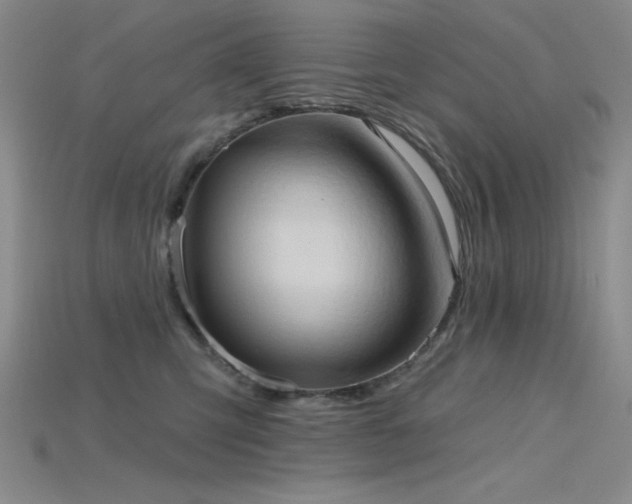 X0000115790423200911131312