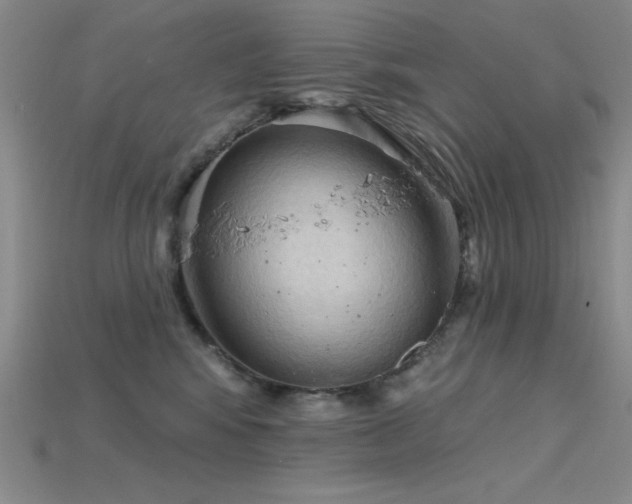 X0000115790424200911131312