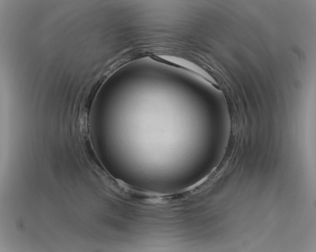 X0000115790425200911131312