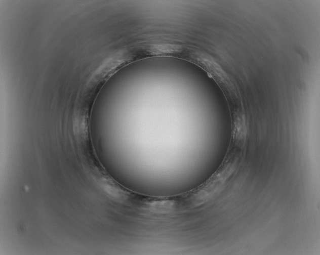 X0000115790426200911131312