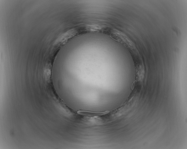 X0000115790427200911131312