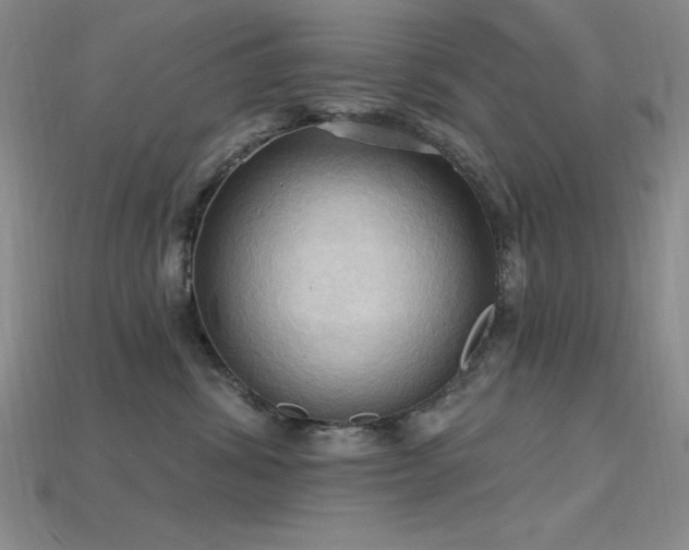 X0000115790428200911131312