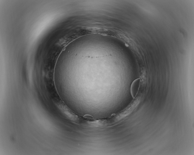 X0000115790430200911131312