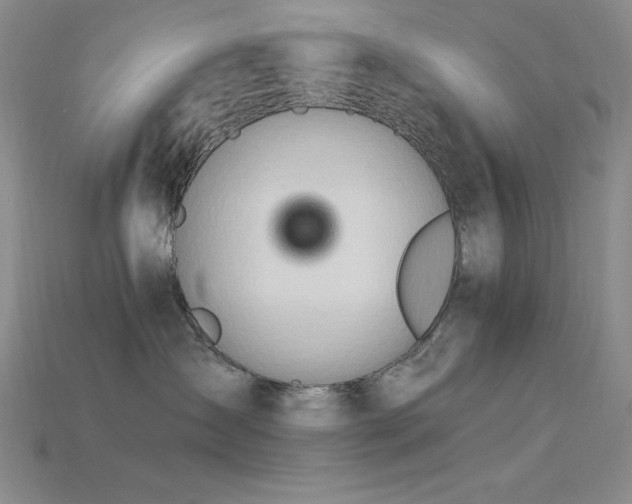 X0000115790431200911131312