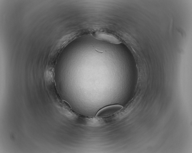 X0000115790432200911131312