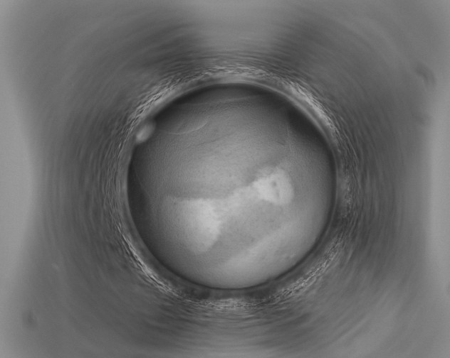 X0000115790433200911131311