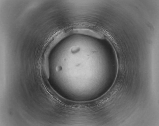 X0000115790434200911131311