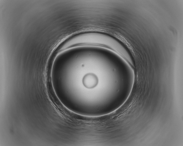 X0000115790436200911131311