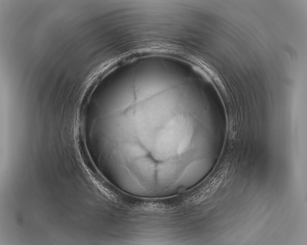 X0000115790437200911131311