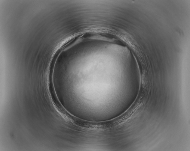 X0000115790438200911131311