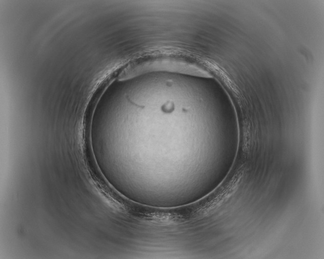 X0000115790439200911131311