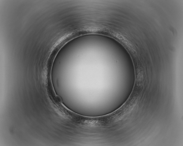 X0000115790440200911131311