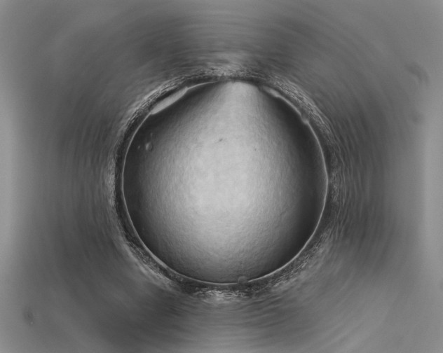 X0000115790442200911131311