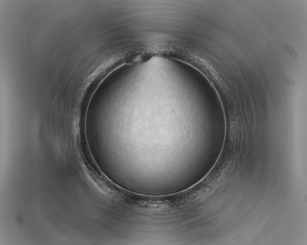 X0000115790443200911131311