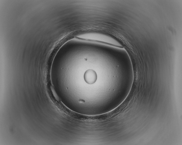 X0000115790444200911131311