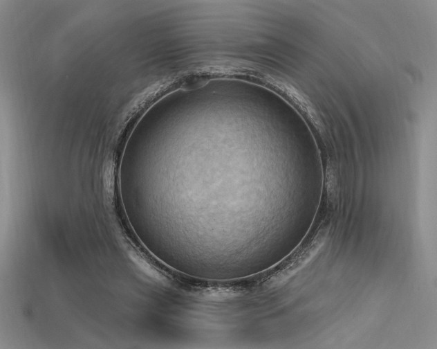 X0000115790445200911131311